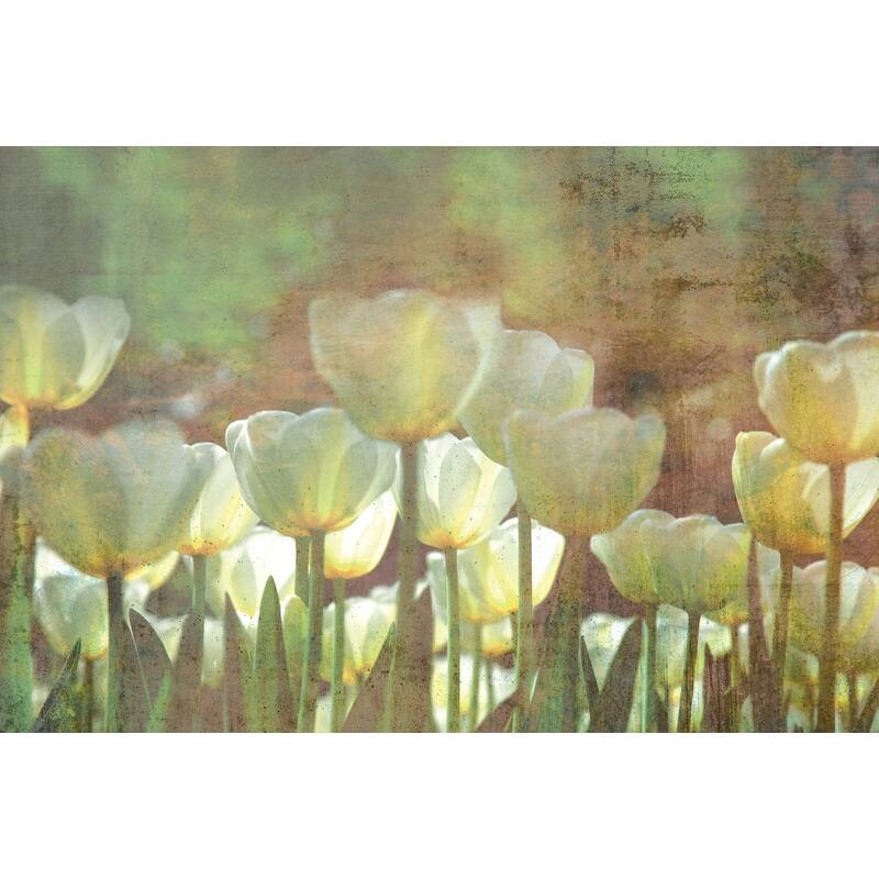 Dimex White Tulips Abstract Wall Mural - 98.4in x 147.6in x 0.025in