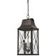 preview thumbnail 1 of 3, The Great Outdoors 73297 De Luz 4 Light 10-1/2" Wide Outdoor Pendant Oil Rubbed Bronze with Gold Highlights
