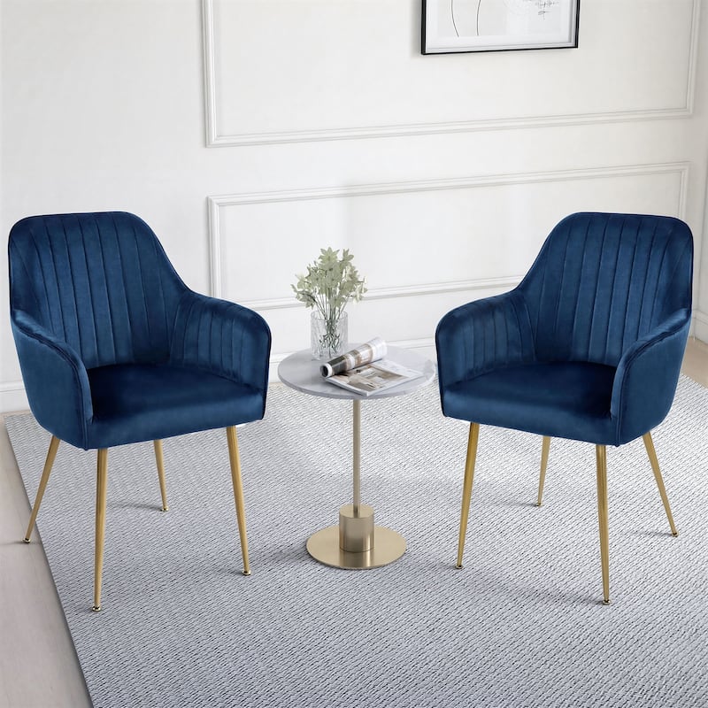 Velvet Accent Dining Chairs with Gold Metal Legs Set of 2