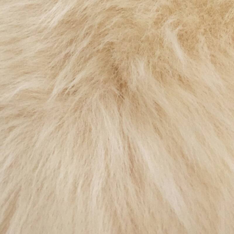 Legacy Home Faux Bearskin Shag Area Rug - 3' x 5' - Champagne