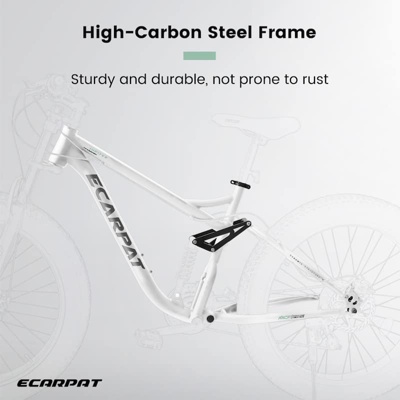 26 Inch Full Suspension Fat Tire Mountain Bike with 21 Speed, Steel Frame 4 Inch Tires for Men and Women