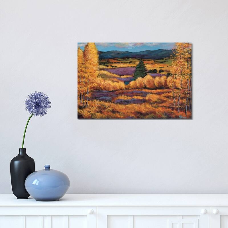iCanvas "Colorado" by Johnathan Harris Canvas Print - 12x18x1.5
