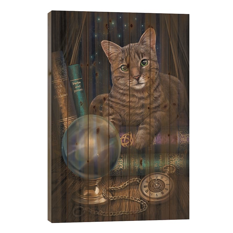 The Fortune Teller Print On Wood by Lisa Parker - Multi-Color - 26x18x1.5