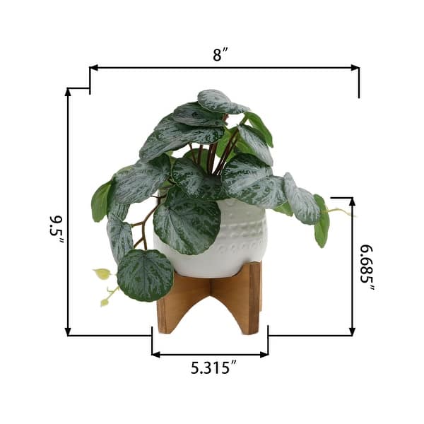 Trailing Leaf in 5" Mayan Ceramic on Wood Stand 5*5*4.75