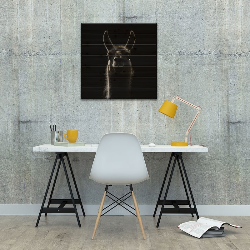 Llama In Black & White Print On Wood by Lukas Holas - Multi-Color