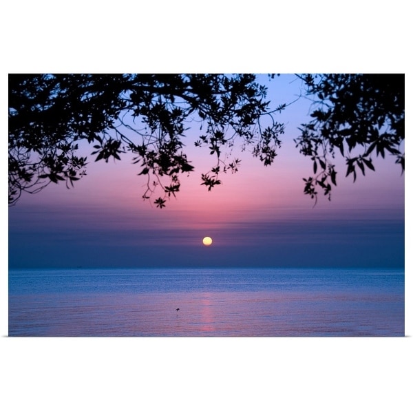 "Tree branches and sunrise over sea." Poster Print