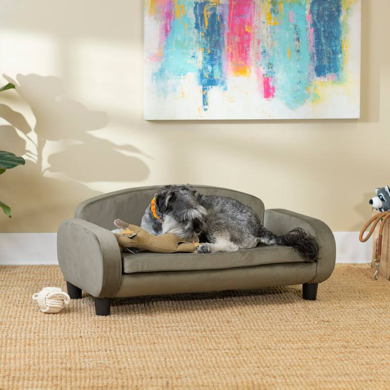 Paws & Purrs Modern Pet Sofa Bed Low-Back Lounger for Dogs & Cats – Removable Washable Mattress Cover