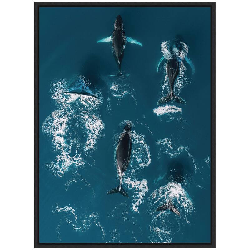 Kate and Laurel Sylvie School of Humpback Whales in the Blue Ocean Framed Canvas by Michael Schauer