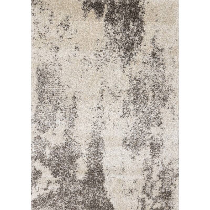 HomeRoots Abstract Modern Rectangle Area Rug