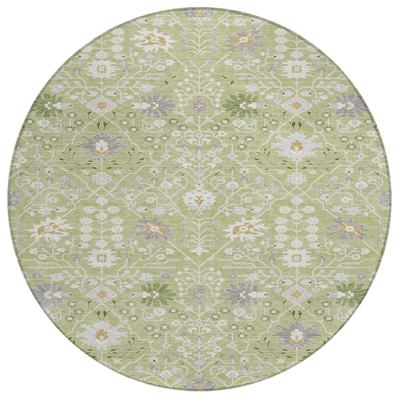 Machine Washable Indoor/ Outdoor Global Traditional Chantille Rug