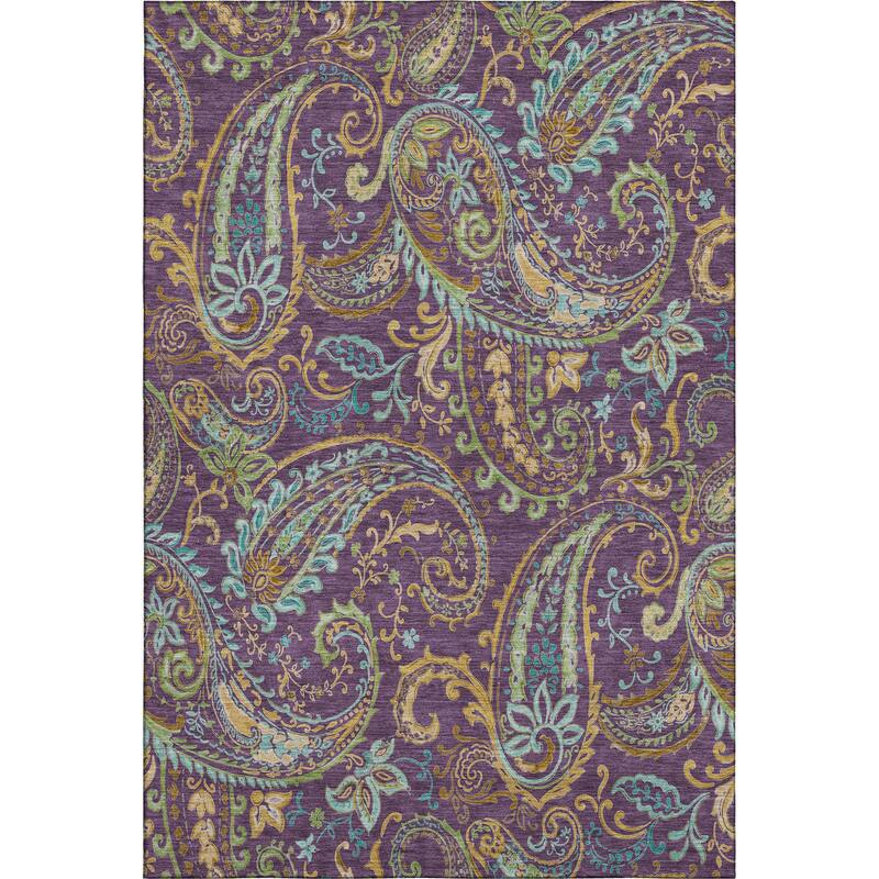 Premium Washable Super Soft Traditional Paisley Mayfield Rug