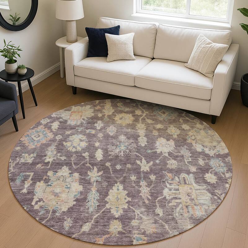 Machine Washable Indoor/ Outdoor Casual Traditional Chantille Rug