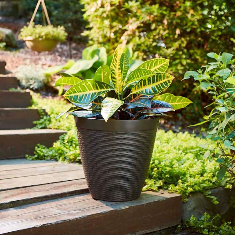Southern Patio Jamaica Wicker Planter