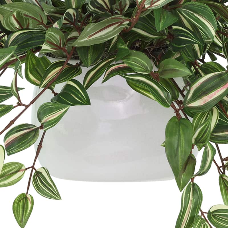 Faux Tradescantia Plant in Ceramic Vase - Green