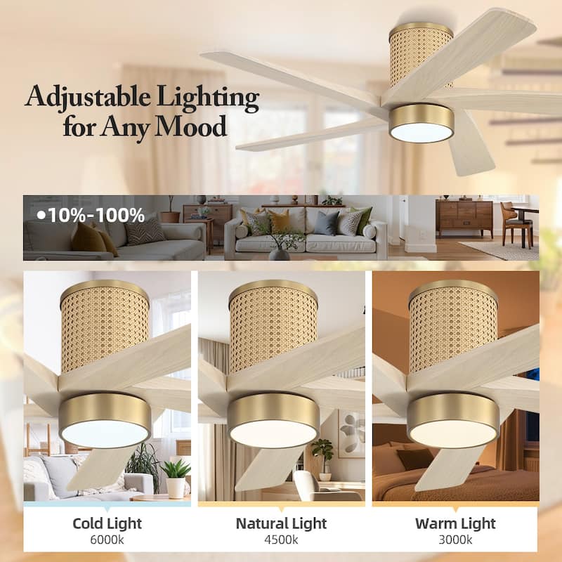 MLiAN 5 Solid Wood Blades DC Motor Indoor Downrod Flush Mount Ceiling Fan Remote Integrated LED