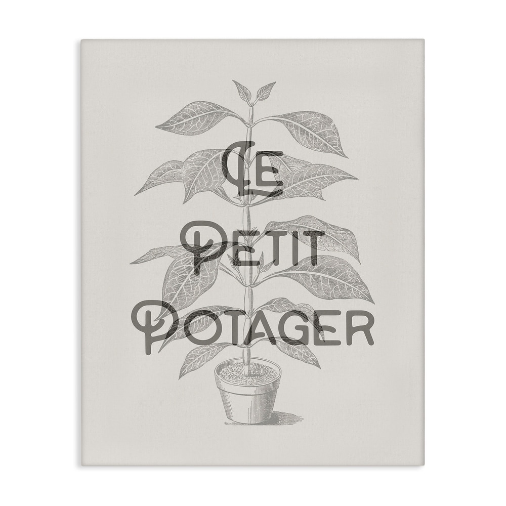 Stupell Vintage French Plant Phrase Canvas Wall Art Design By Lil' Rue
