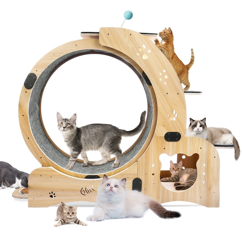 Brown 6-in-1 Cat Running Wheel For Large Cat Up To 44Lbs - Brown