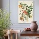 preview thumbnail 9 of 8, Pl 47 Ruby-throated Hummingbird -Premium Gallery Wrapped Canvas