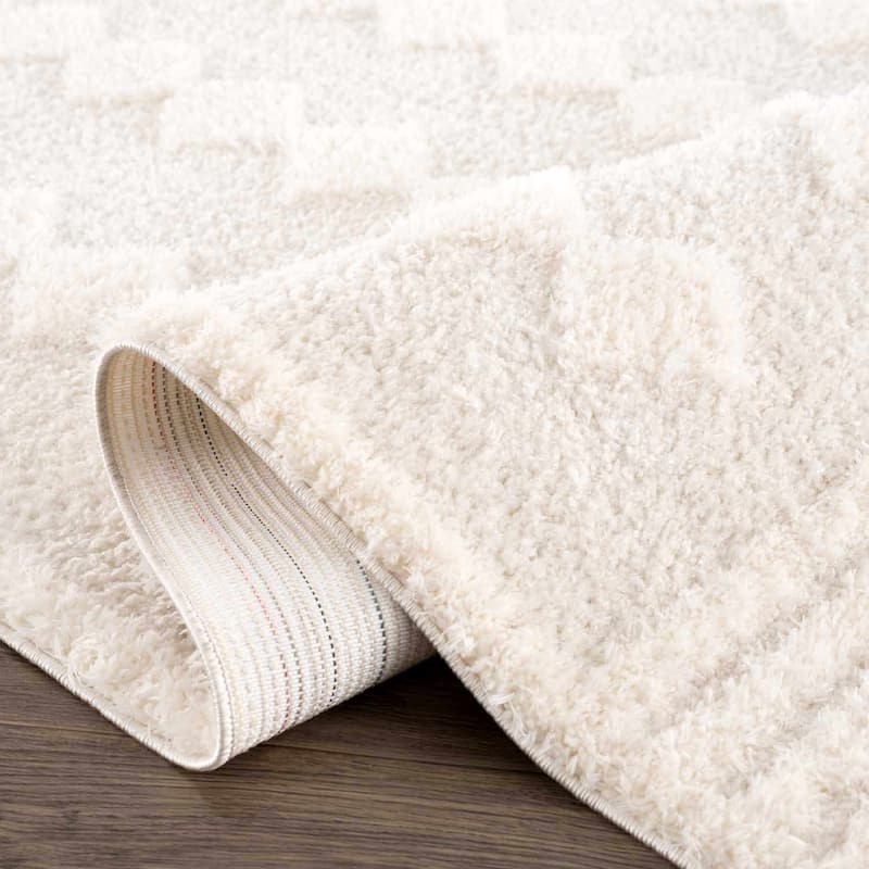 Hauteloom Hija Living Room, Bedroom Area Rug - Plush Pile - Beige, White - 2' x 3'