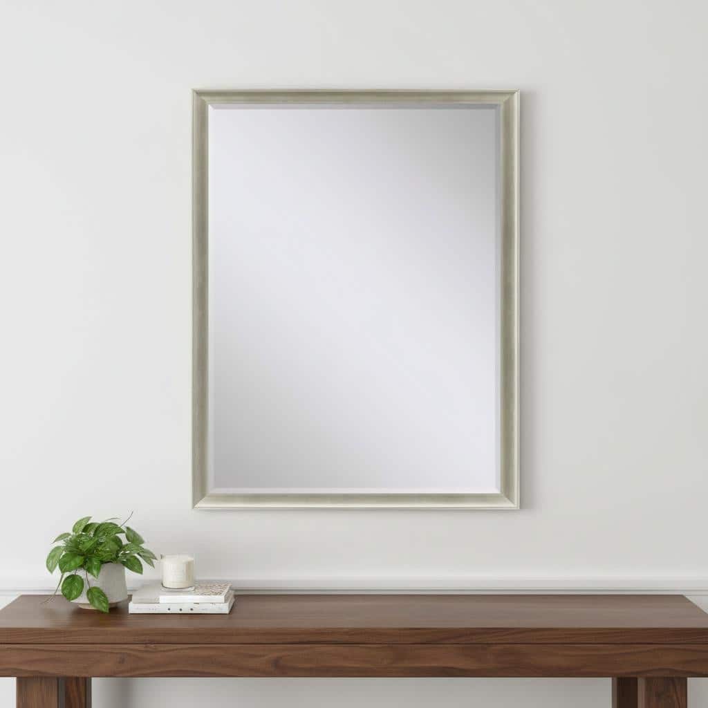 HomeRoots 52" Silver Wood Accent Mirror - 40.00 in. x 52.00 in. x 3.00 in.