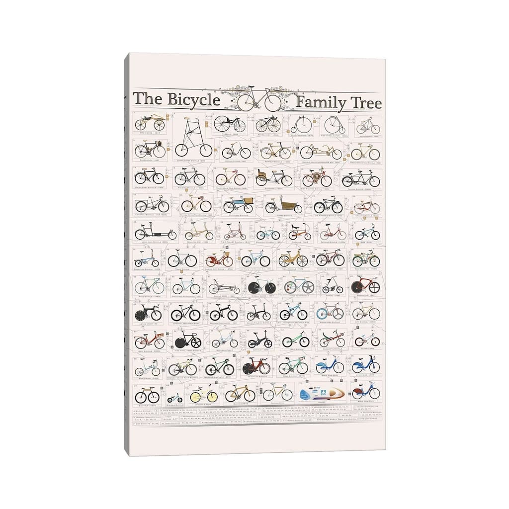 iCanvas "Bicycle Family Tree" by WyattDesign Canvas Print