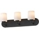 preview thumbnail 1 of 9, Maxim 12893WT Durham 3 Light 24" Wide Bath Vanity Light Black