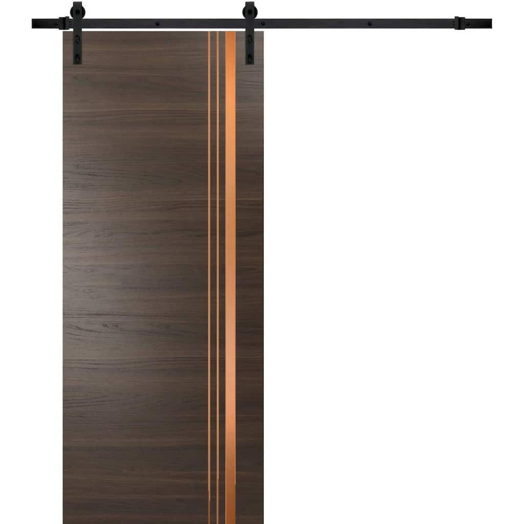 Sturdy Barn Door 18 x 80 Planum 1010 Chocolate Ash with 6.6FT