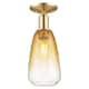 Option Champagne Bronze
