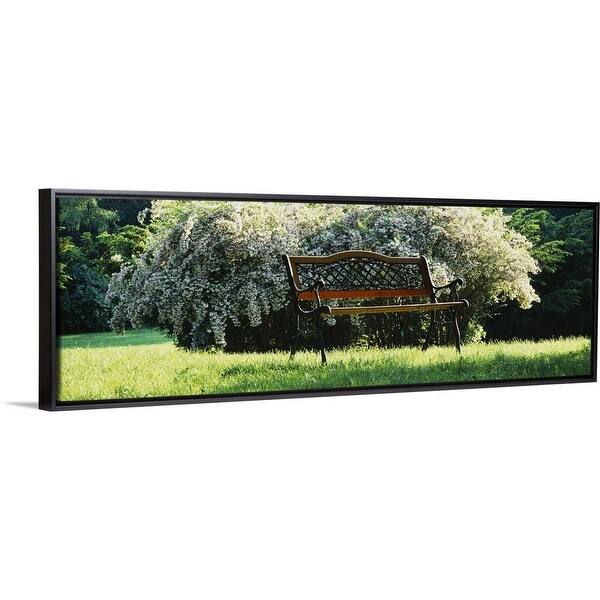 Shop Empty Park Bench Grand Rapids Michigan Black Float Frame