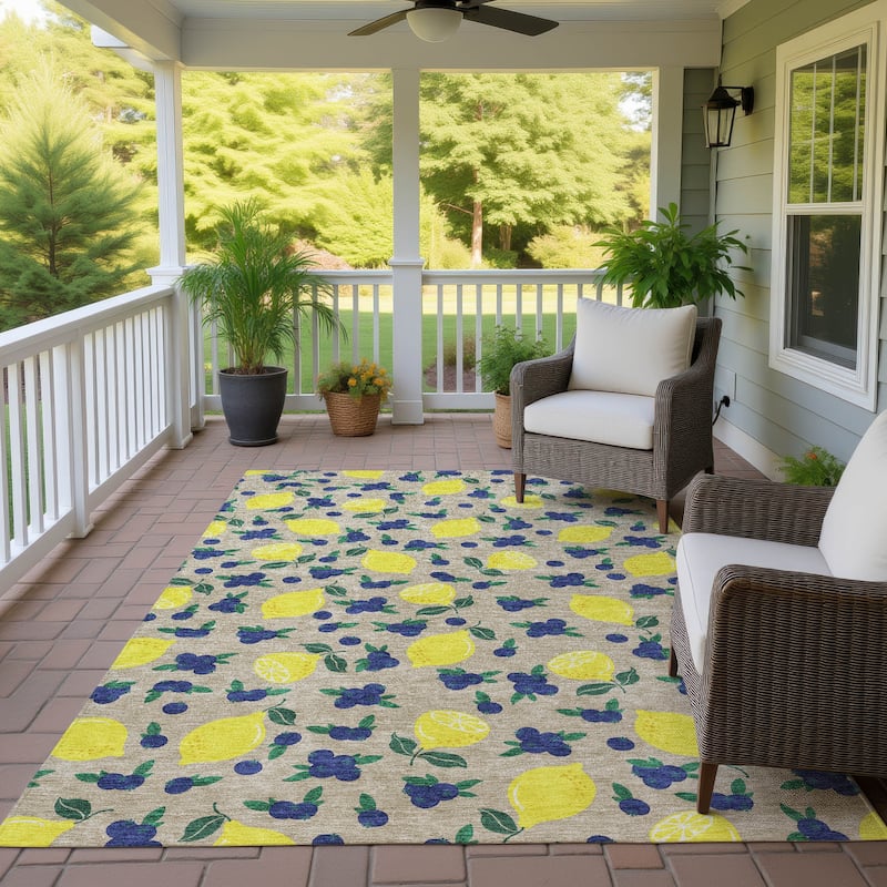 Machine Washable Indoor/ Outdoor Citrus Berry Chantille Rug