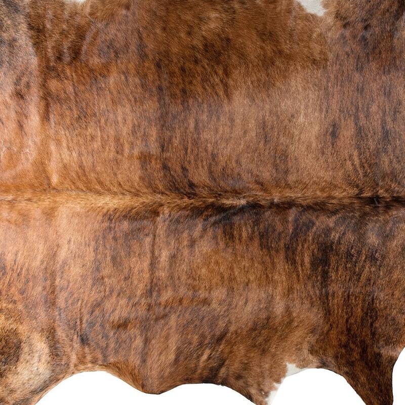 Stain Resistant Area Rug