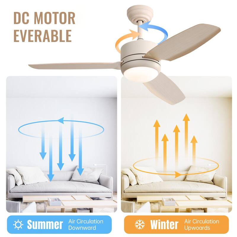 Modern Ceiling Fan Light with 3 Blades and Remote Control, DC Silent Motor for Bedroom and Lounge Area