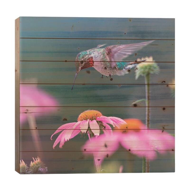 Male Ruby-throated Hummingbird foraging for nectar, Arkansas Print On Wood by Tim Fitzharris - Multi-Color - 26x26x1.5