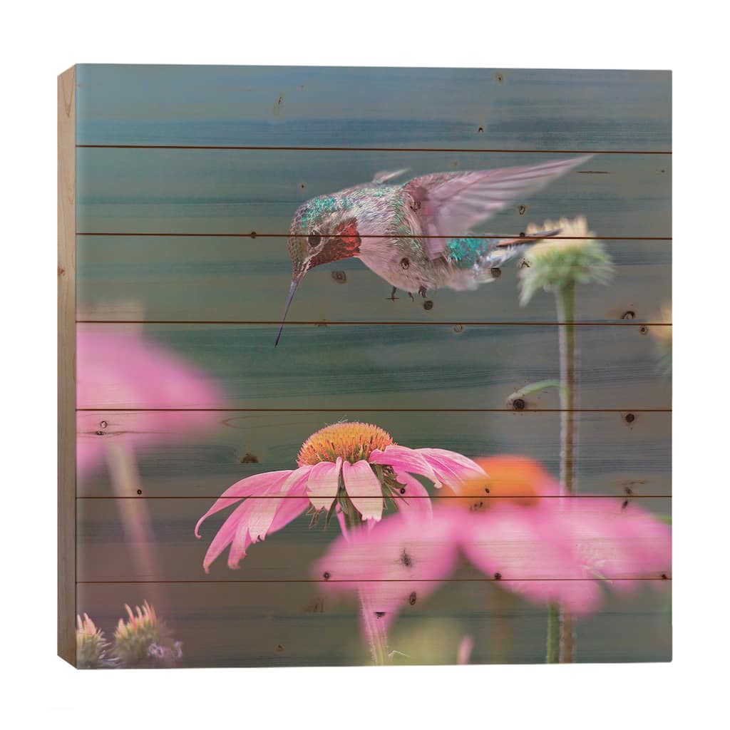 Male Ruby-throated Hummingbird foraging for nectar, Arkansas Print On Wood by Tim Fitzharris - Multi-Color