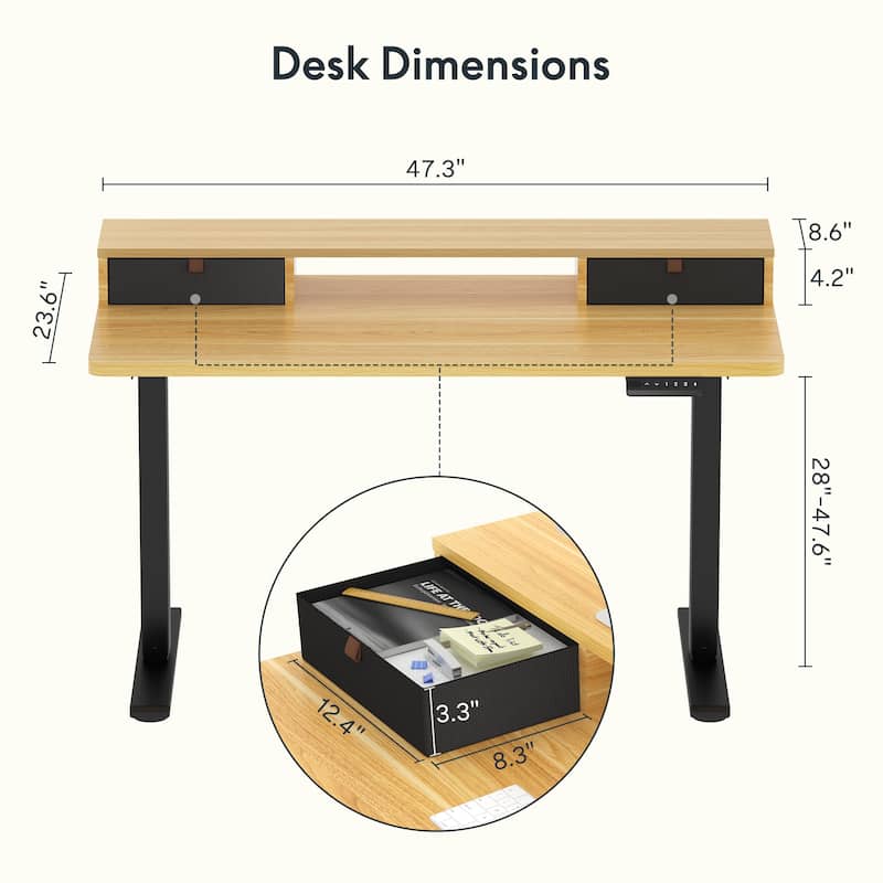 FlexiSpot 48"x24"/55"x24" Ergonomic Height Adjustable Standing Desk with 2 Drawers, Monitor Stand Computer Desk