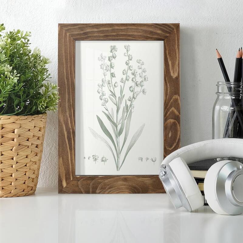Botanical Study in Sage I -Framed Print w/glass-Cherry Red