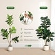 preview thumbnail 5 of 42, Artificial Fiddle Leaf Fig Tree with 48 Leaves in White Planter Pot, Faux Ficus Lyrata Plant for Home or Office Decor