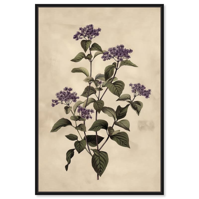 Purple Hydrangea Canvas by Art Remedy - Black - 36" x 54"