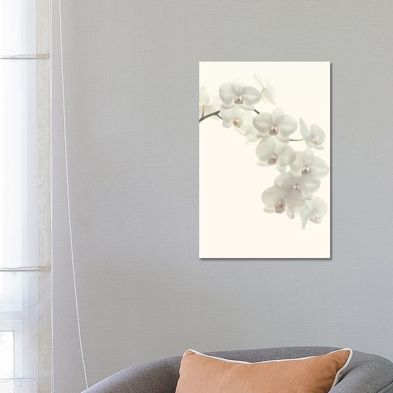 iCanvas "White Orchids" by Alyson Fennell Canvas Print - 26x18x1.5