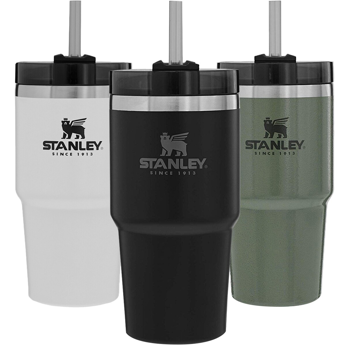 stanley 20 oz mug