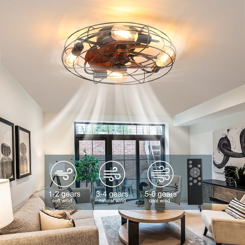 Cusp Barn 20'' Farmhouse Caged Ceiling Fan with Light, Modern Black Low Profile Enclosed Ceiling Fans with Reversible Motor