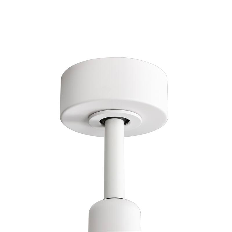 65 Inch LED Black and White Ceiling Fan with Light Remote- 8 Blade