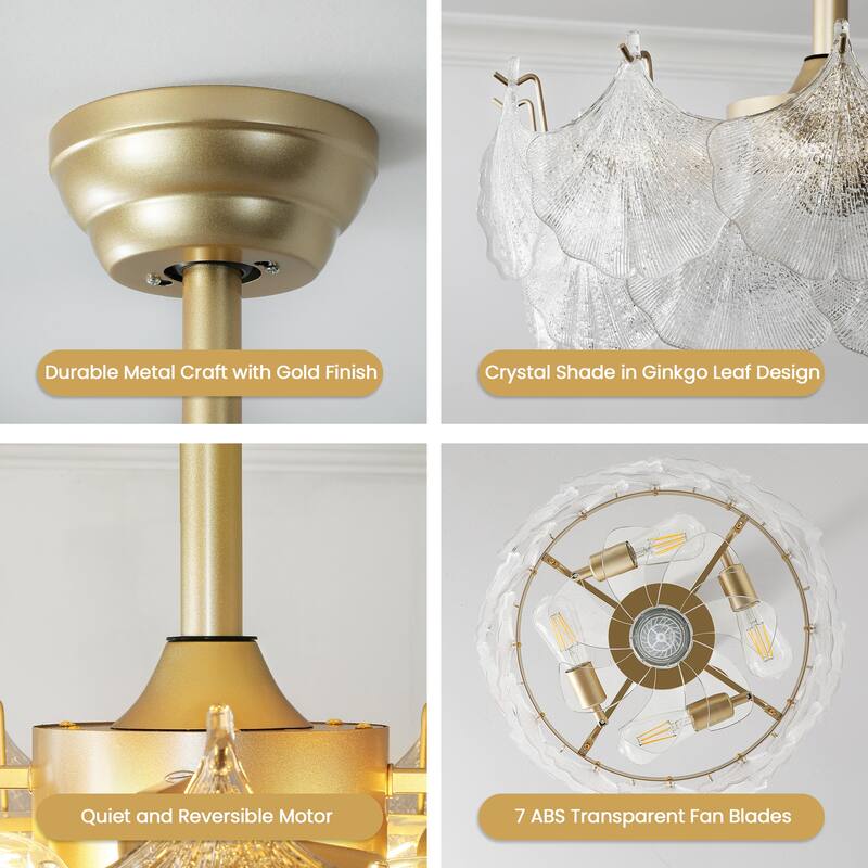 20" Modern Glass Chandelier with Shell Ceiling Fan with Remote Control, Caged with 6 Speeds for Bedroom, Nursery, Living Room