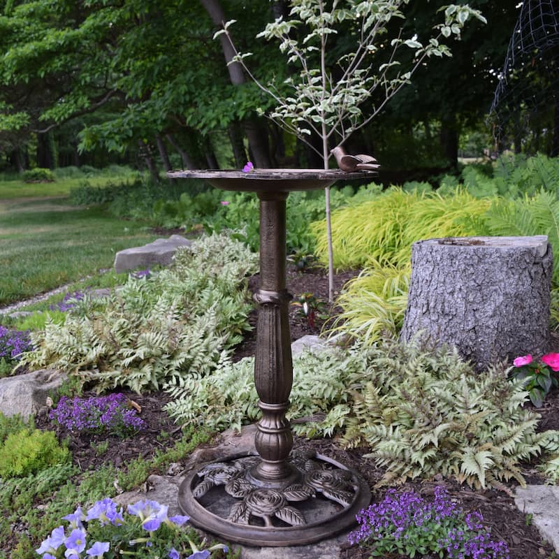 Premium Rose Bird Bath