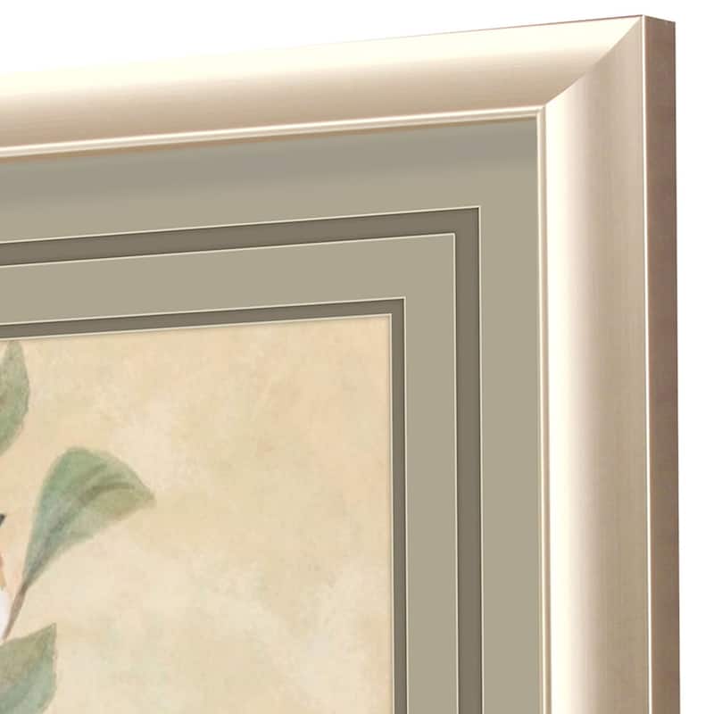 Songbird Fresco S/2 Framed Art Under Glass