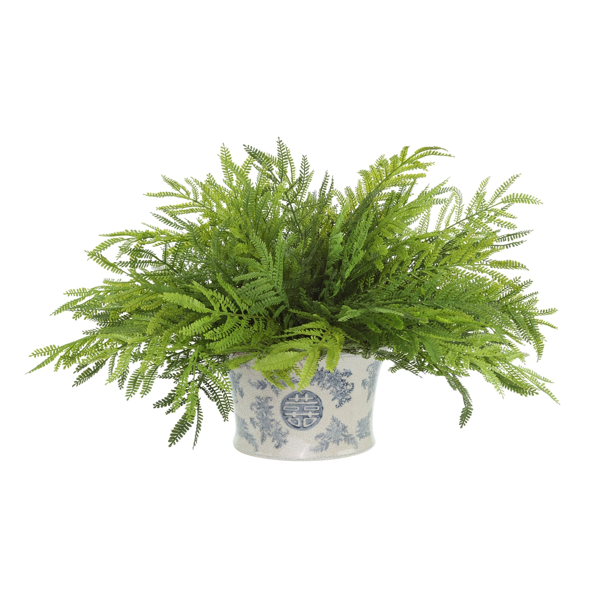 Fern Arrangement in a Decorative Ceramic Pot - Green
