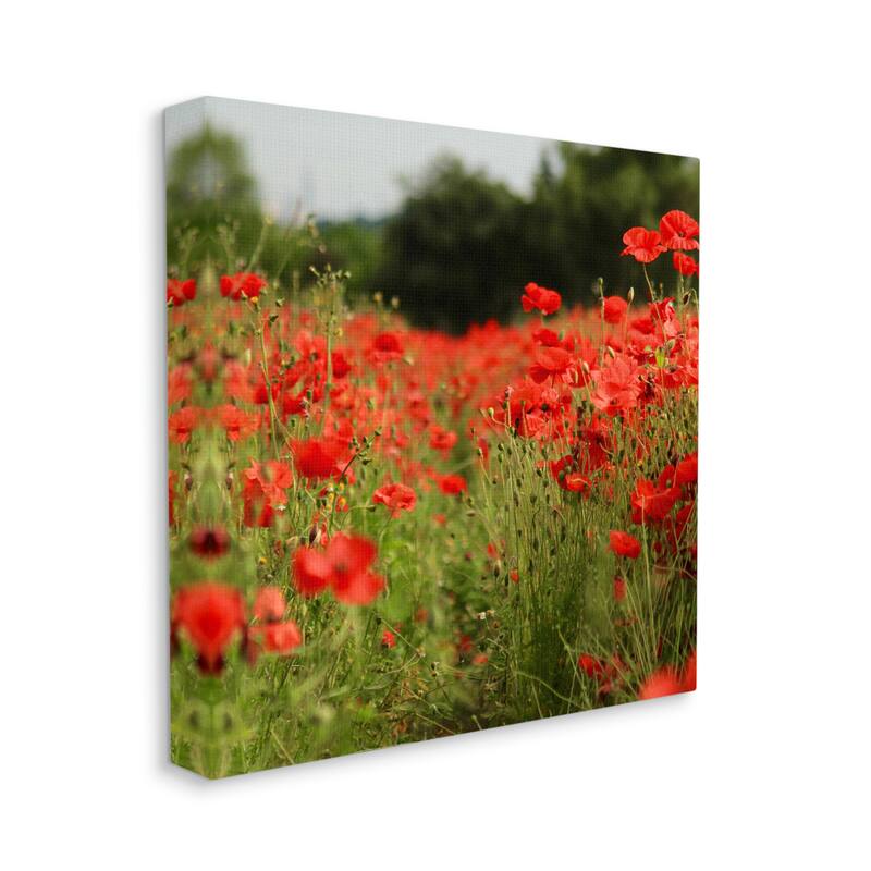 Stupell Brilliant Red Poppy Meadow Scenic Flower Blooms Canvas Wall Art, Design by Dan Meneely