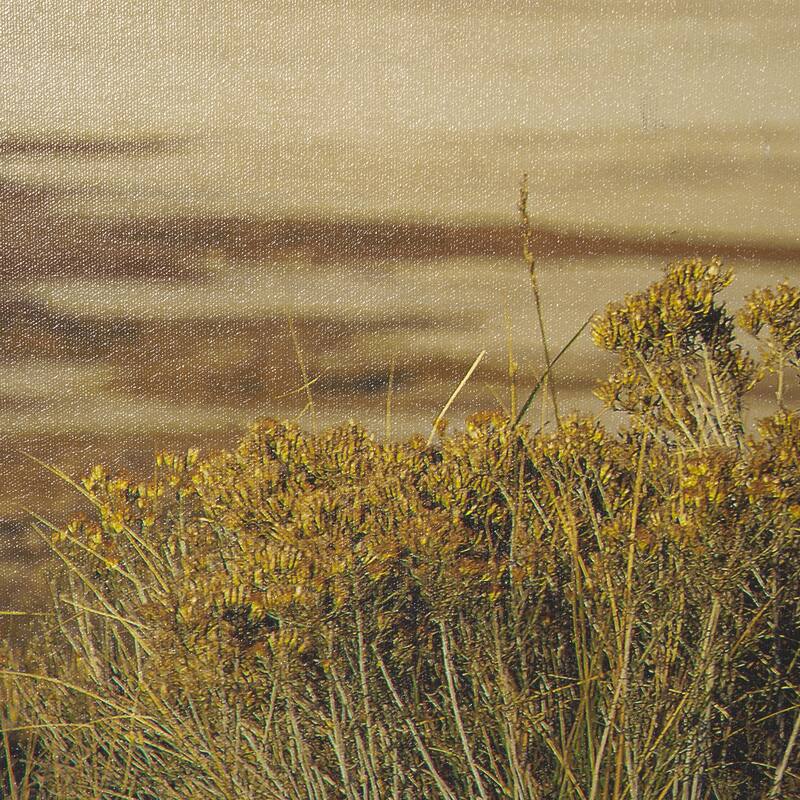 Antelope Island