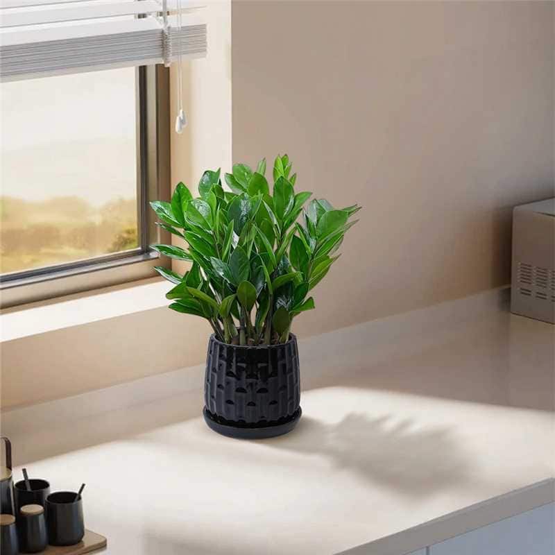 2 Pack Succulent Pots, 6" & 8" Mini Ceramic Plant Pots for Flower or Cactus Plants