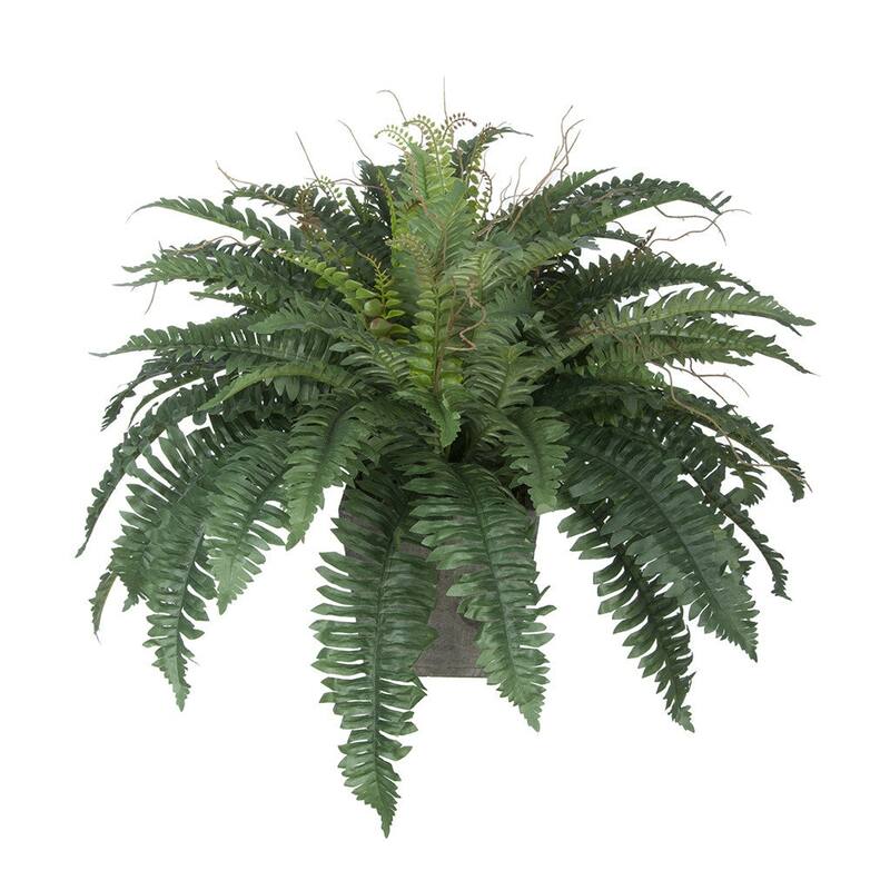 Faux Fern in Washed Wood Ledge Planter